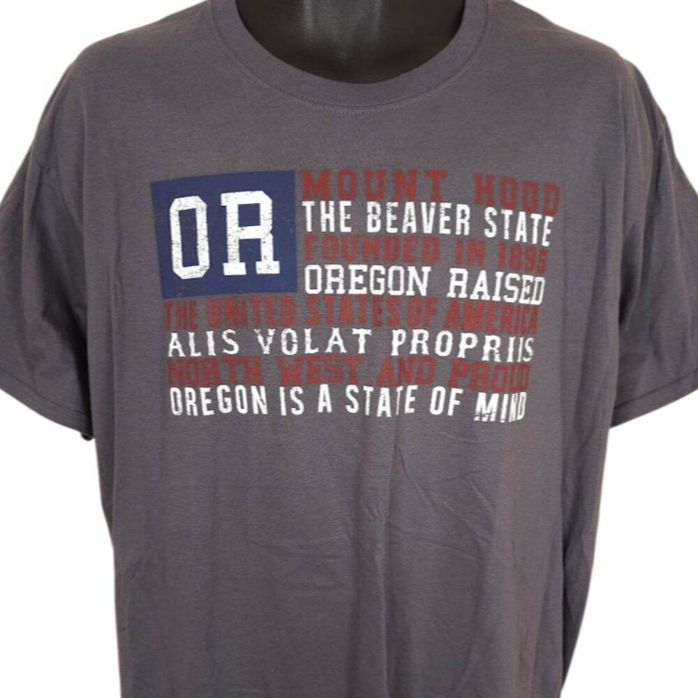 Oregon T Shirt Mens Size Large Gray Travel Destination Mount Hood Beaver State